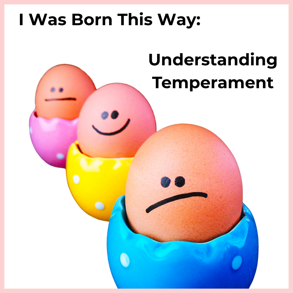 I Was Born This Way Retake